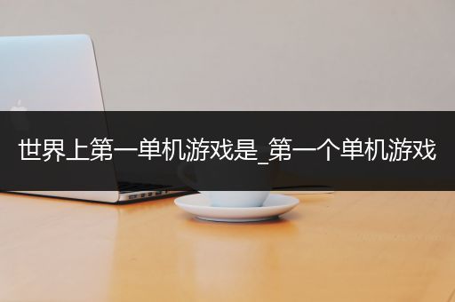 世界上第一单机游戏是_第一个单机游戏