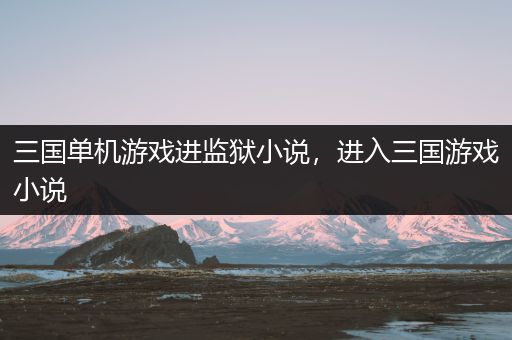 三国单机游戏进监狱小说，进入三国游戏小说