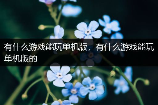 有什么游戏能玩单机版，有什么游戏能玩单机版的