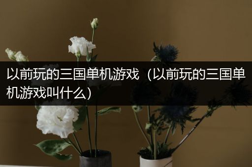 以前玩的三国单机游戏（以前玩的三国单机游戏叫什么）