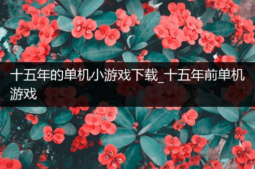 十五年的单机小游戏下载_十五年前单机游戏