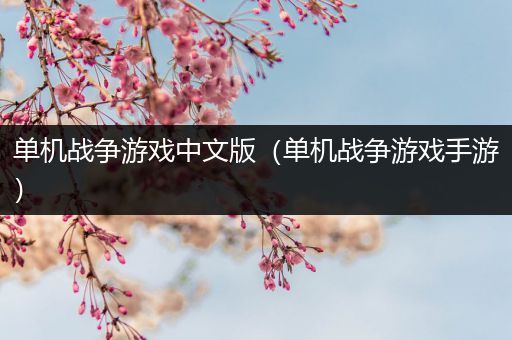 单机战争游戏中文版（单机战争游戏手游）