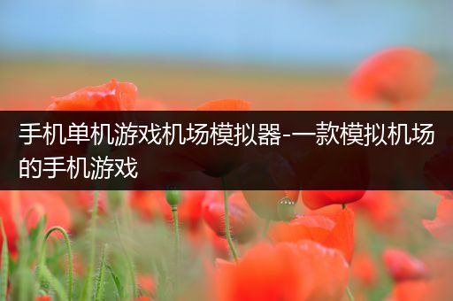 手机单机游戏机场模拟器-一款模拟机场的手机游戏