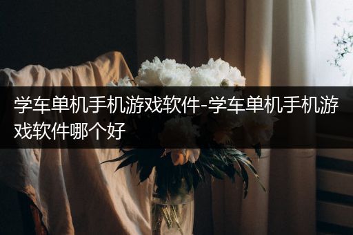 学车单机手机游戏软件-学车单机手机游戏软件哪个好