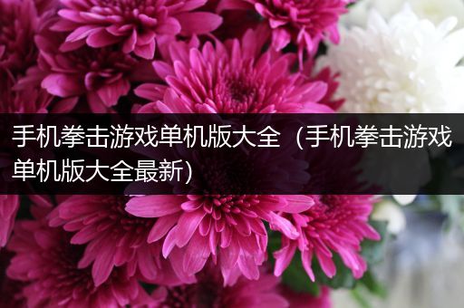 手机拳击游戏单机版大全（手机拳击游戏单机版大全最新）