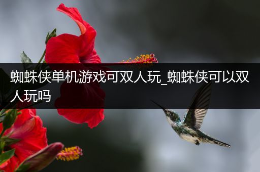 蜘蛛侠单机游戏可双人玩_蜘蛛侠可以双人玩吗
