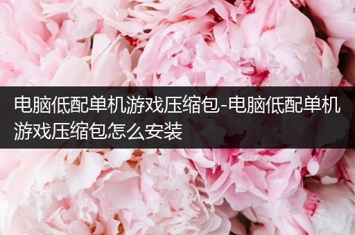 电脑低配单机游戏压缩包-电脑低配单机游戏压缩包怎么安装