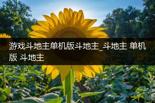 游戏斗地主单机版斗地主_斗地主 单机版 斗地主