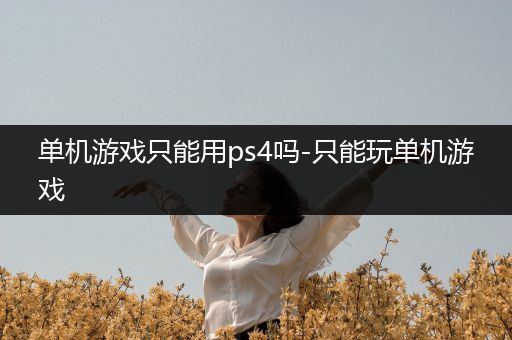 单机游戏只能用ps4吗-只能玩单机游戏