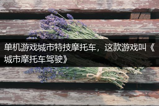 单机游戏城市特技摩托车，这款游戏叫《城市摩托车驾驶》