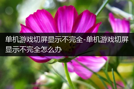 单机游戏切屏显示不完全-单机游戏切屏显示不完全怎么办