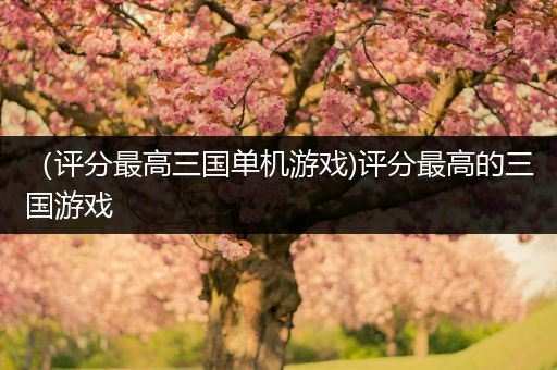 （评分最高三国单机游戏)评分最高的三国游戏
