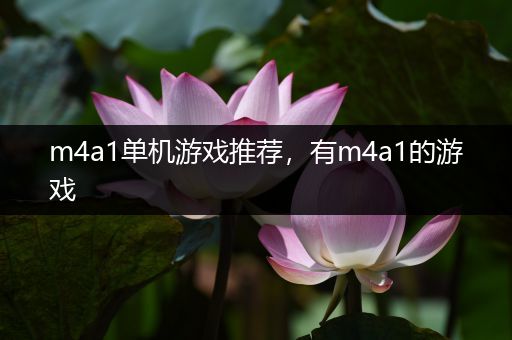 m4a1单机游戏推荐，有m4a1的游戏