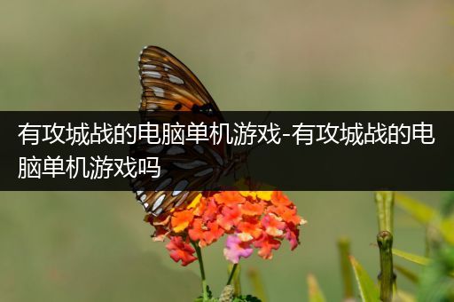 有攻城战的电脑单机游戏-有攻城战的电脑单机游戏吗