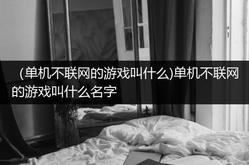 （单机不联网的游戏叫什么)单机不联网的游戏叫什么名字