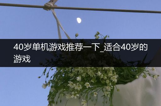 40岁单机游戏推荐一下_适合40岁的游戏