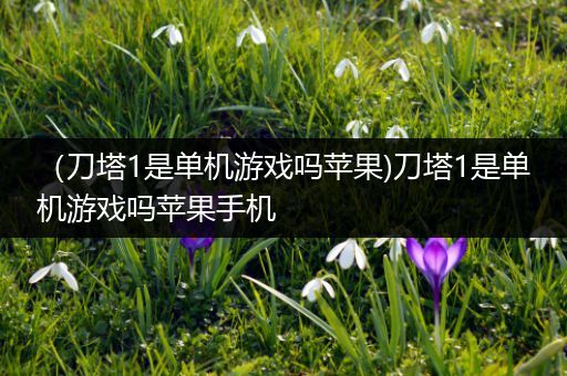 （刀塔1是单机游戏吗苹果)刀塔1是单机游戏吗苹果手机