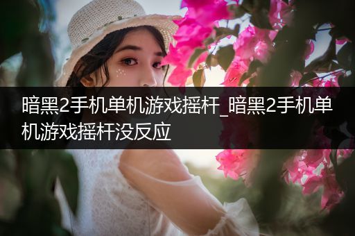 暗黑2手机单机游戏摇杆_暗黑2手机单机游戏摇杆没反应