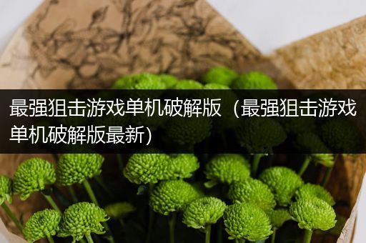 最强狙击游戏单机破解版（最强狙击游戏单机破解版最新）