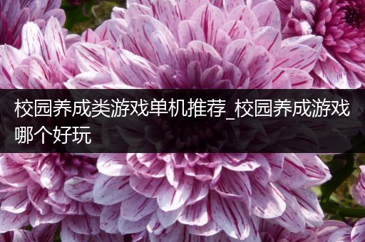 校园养成类游戏单机推荐_校园养成游戏哪个好玩