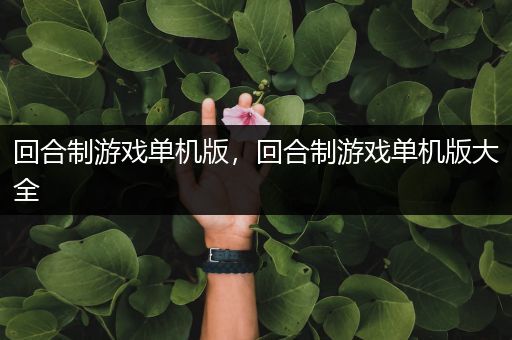 回合制游戏单机版，回合制游戏单机版大全