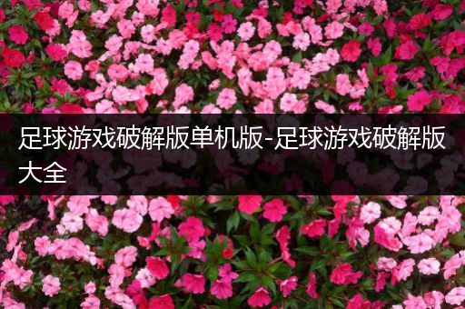 足球游戏破解版单机版-足球游戏破解版大全