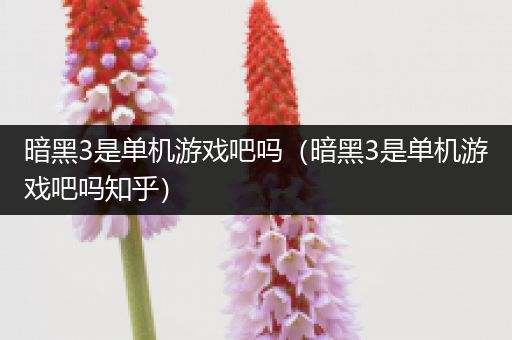 暗黑3是单机游戏吧吗（暗黑3是单机游戏吧吗知乎）