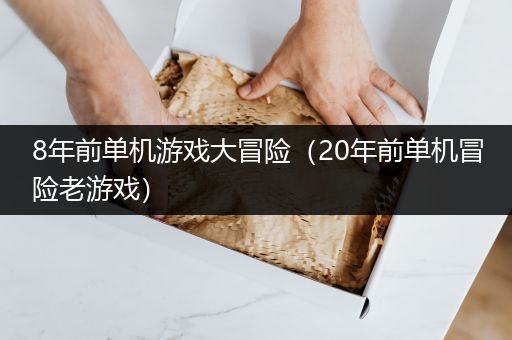 8年前单机游戏大冒险（20年前单机冒险老游戏）