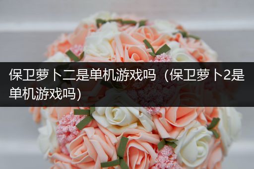保卫萝卜二是单机游戏吗（保卫萝卜2是单机游戏吗）
