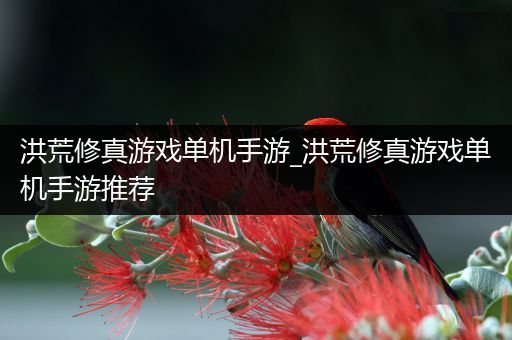 洪荒修真游戏单机手游_洪荒修真游戏单机手游推荐