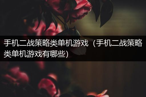 手机二战策略类单机游戏（手机二战策略类单机游戏有哪些）