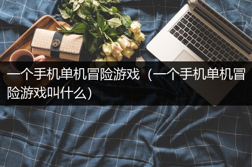 一个手机单机冒险游戏（一个手机单机冒险游戏叫什么）