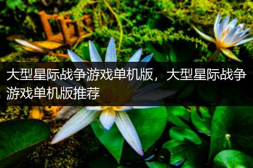 大型星际战争游戏单机版，大型星际战争游戏单机版推荐