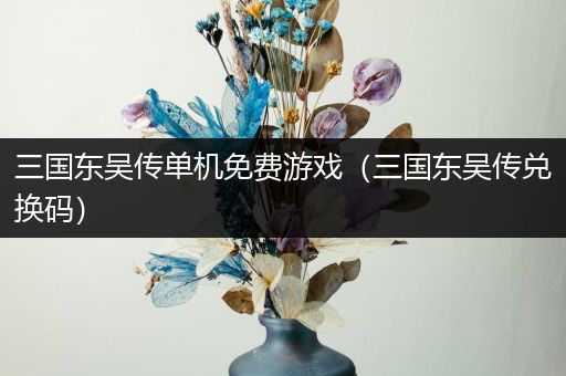 三国东吴传单机免费游戏（三国东吴传兑换码）