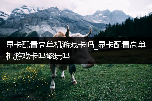 显卡配置高单机游戏卡吗_显卡配置高单机游戏卡吗能玩吗