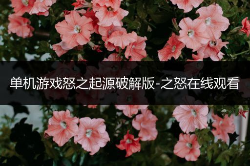 单机游戏怒之起源破解版-之怒在线观看