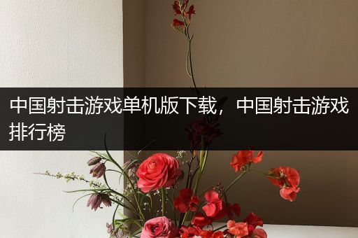 中国射击游戏单机版下载，中国射击游戏排行榜