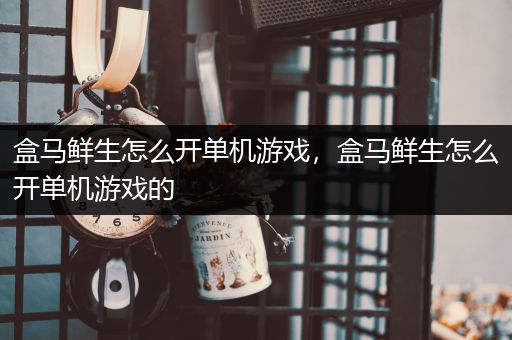 盒马鲜生怎么开单机游戏，盒马鲜生怎么开单机游戏的