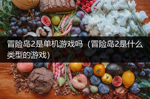 冒险岛2是单机游戏吗（冒险岛2是什么类型的游戏）