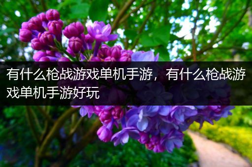 有什么枪战游戏单机手游，有什么枪战游戏单机手游好玩