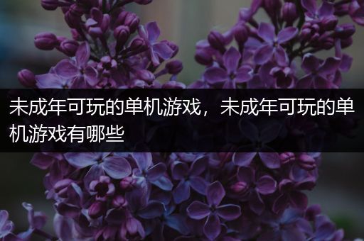 未成年可玩的单机游戏，未成年可玩的单机游戏有哪些