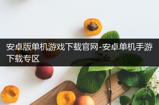 安卓版单机游戏下载官网-安卓单机手游下载专区