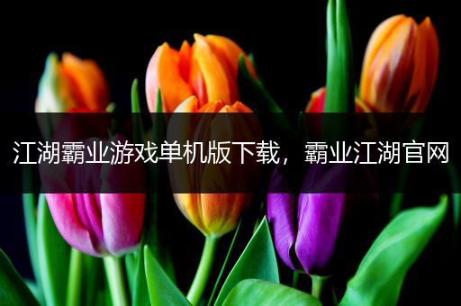江湖霸业游戏单机版下载，霸业江湖官网