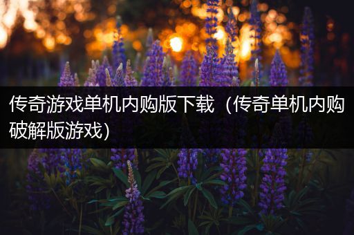 传奇游戏单机内购版下载（传奇单机内购破解版游戏）