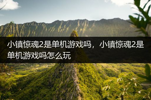 小镇惊魂2是单机游戏吗，小镇惊魂2是单机游戏吗怎么玩