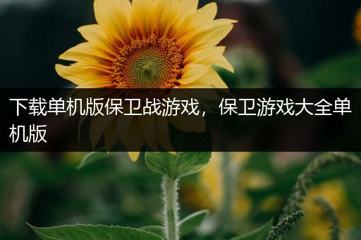 下载单机版保卫战游戏，保卫游戏大全单机版