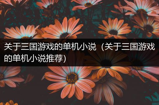 关于三国游戏的单机小说（关于三国游戏的单机小说推荐）