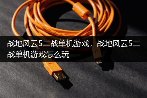 战地风云5二战单机游戏，战地风云5二战单机游戏怎么玩