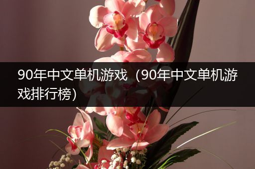 90年中文单机游戏（90年中文单机游戏排行榜）