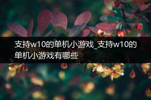 支持w10的单机小游戏_支持w10的单机小游戏有哪些